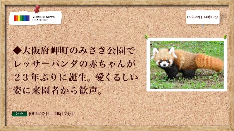 読売新聞 全画面ニュース【Cタイプ】